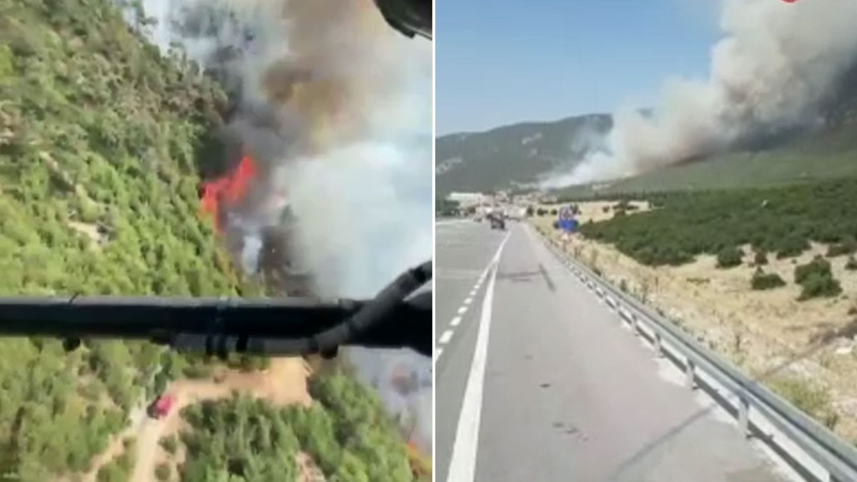 Denizli'de orman yangını