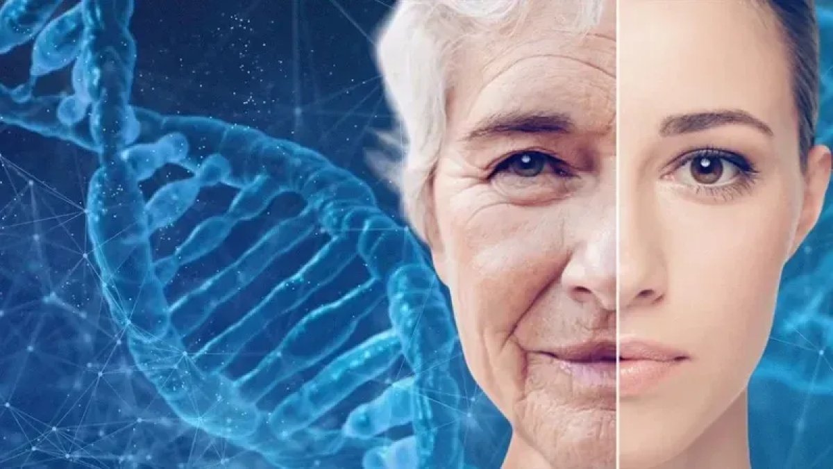 Yaşlanmayı geriye çevirmeye bir adım daha yaklaştık: Yapay zekâ destekli hücre yenileme devrimi