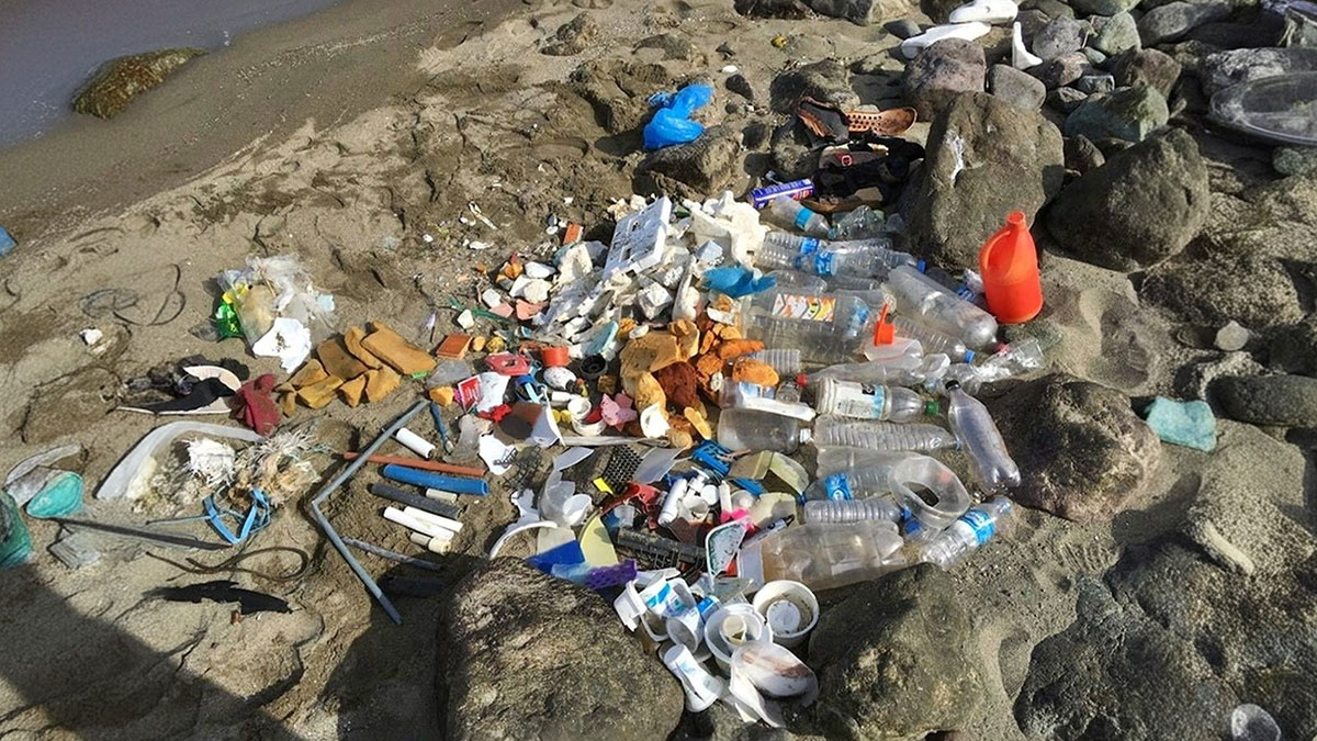 Vahim tablo! Karadeniz sahilleri, insan eliyle çöplüğe dönüştü