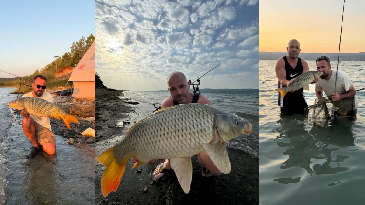 Sapanca Gölü'nde rekor av! 13 kiloluk sazanları yakaladı ama asıl müjde sudan çıkan yavrulardı: Yıllar sonra ilk kez