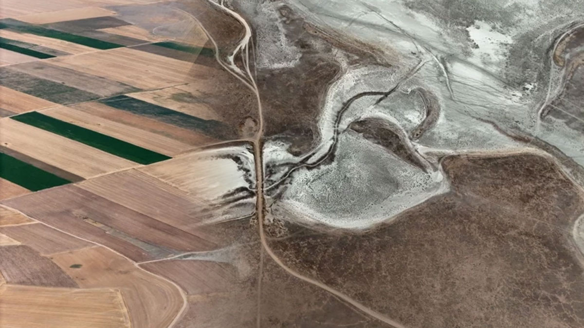 Flamingo cennetiydi... Seyfe Gölü'nden geriye çorak topraklar kaldı