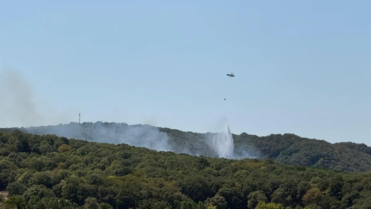 İstanbul'da orman yangını