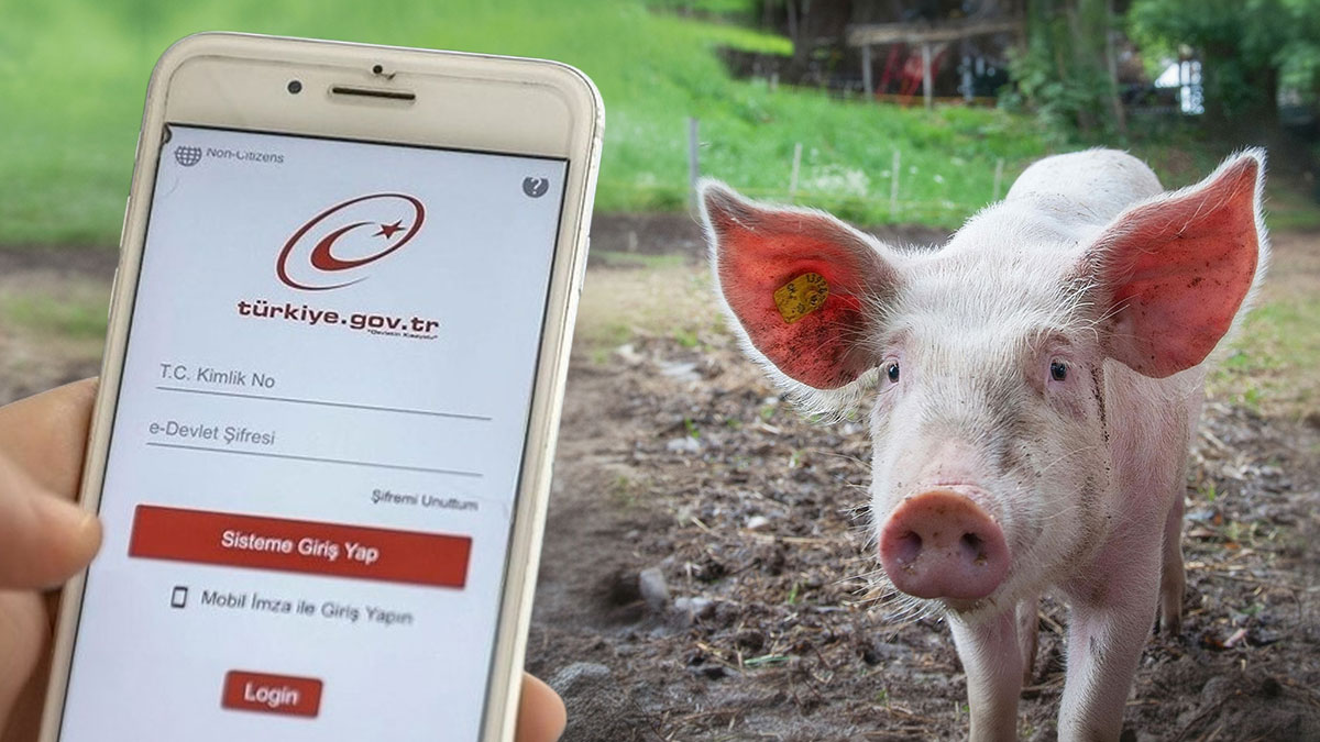 Domuz eti içeren ürünler e-Devlet'te! Etiketlere aldanmayın, gerçek içerik bu sitede