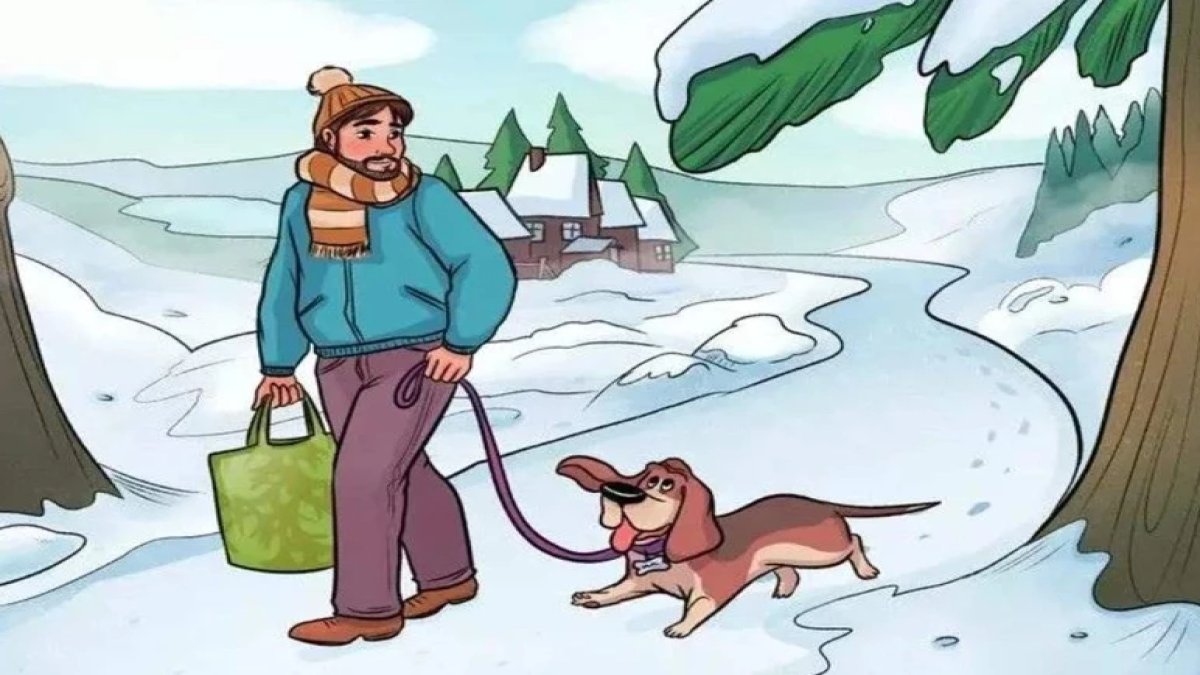 Bu resimdeki mantık hatasını sadece dahiler görebiliyor: Karlı manzaradaki akıl oyunu için 15 saniyeniz var!