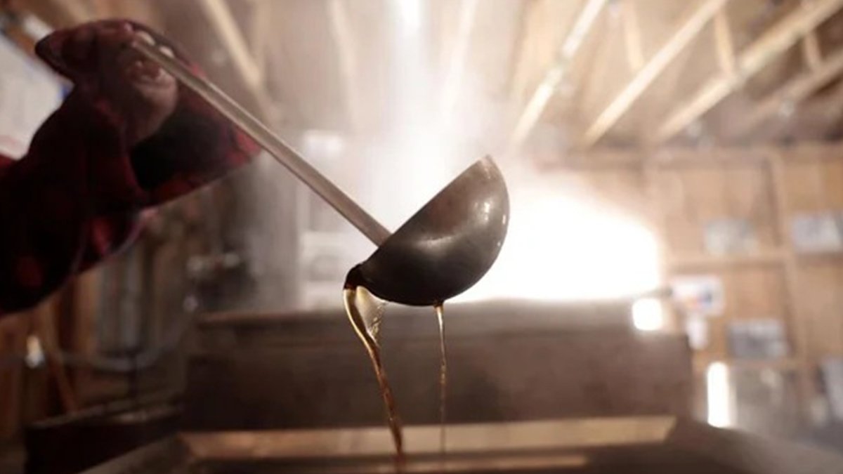 Bu şurup sigara kullananların derdine çare oluyor! Ormandan topluyor Türkiye'nin her yerine satıyor