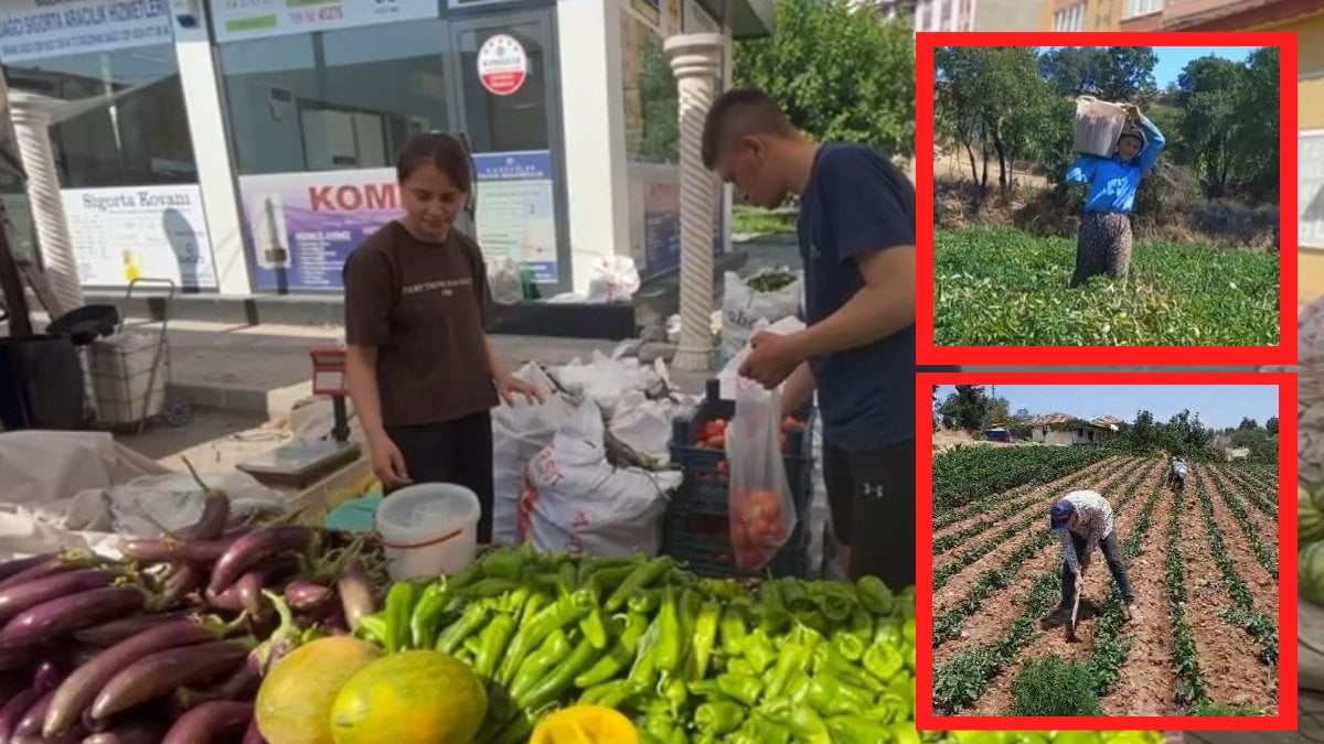 Tıp öğrencisi kardeşiyle tarlada: Üniversiteli gençler hem okuyor hem üretiyor