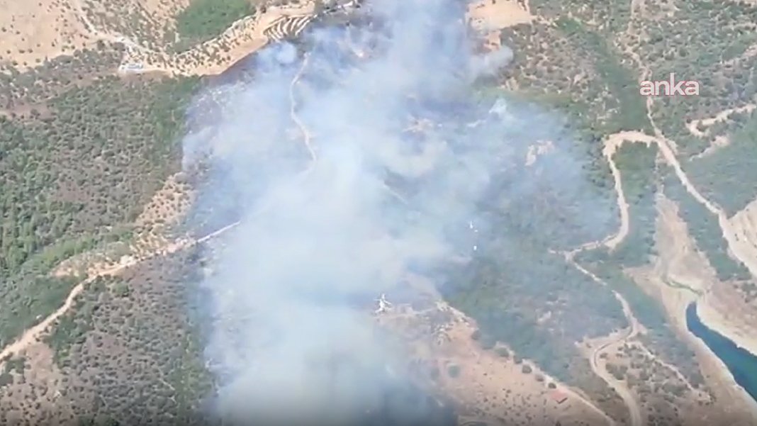 İzmir'de orman yangını