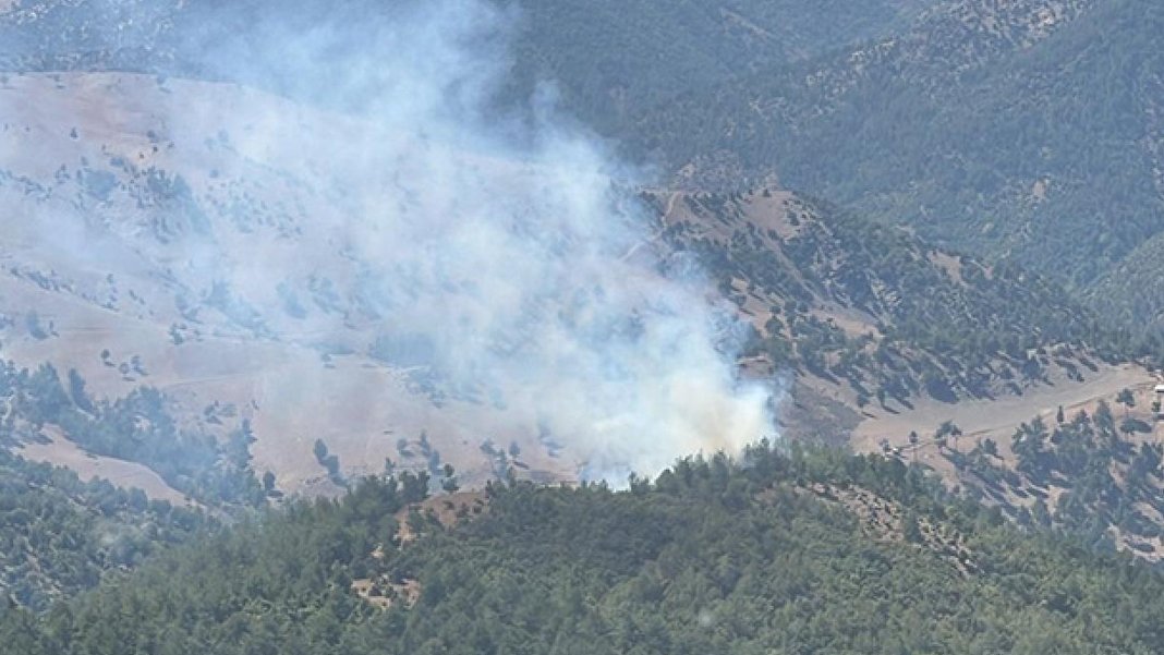 Adana'da orman yangını: Müdahale devam ediyor