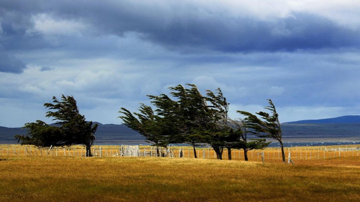 Batı Karadeniz'e fırtına uyarısı: Bartın ve Zonguldak'ta denizciler dikkat