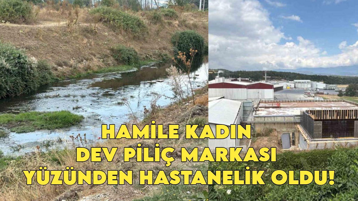 Piliç devi hamile kadını hastanelik etti! 'Dereden zehir akıyor' diyen köylüler, kadının hastanelik olmasıyla çileden çıktı