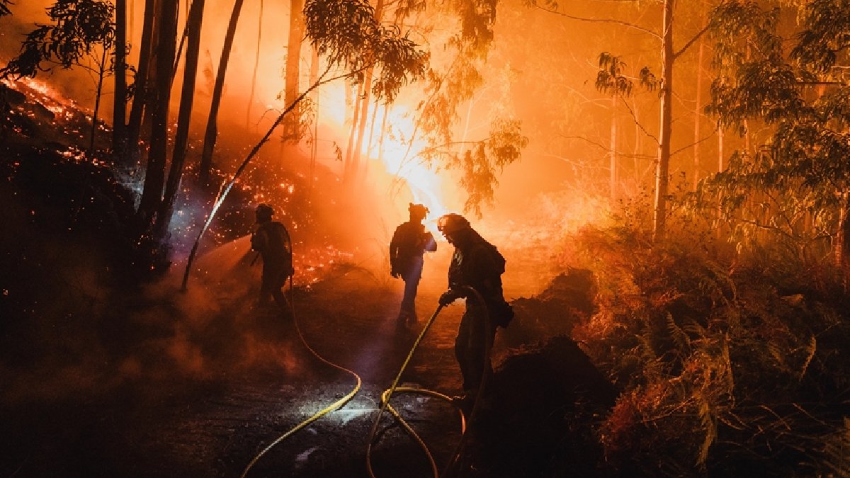 Geçen yıla göre beş kat artış: Avrupa’da bir milyon hektardan fazla alan kül oldu