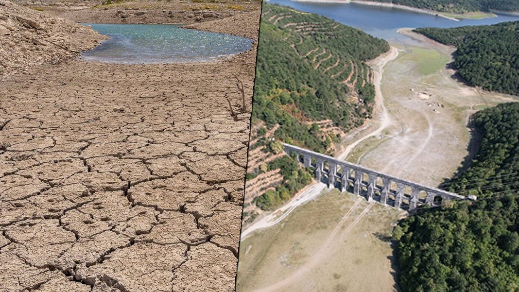 Susuzluk tarlaları vurdu: Barajlar boşalıyor, gıda fiyatları yükseliyor