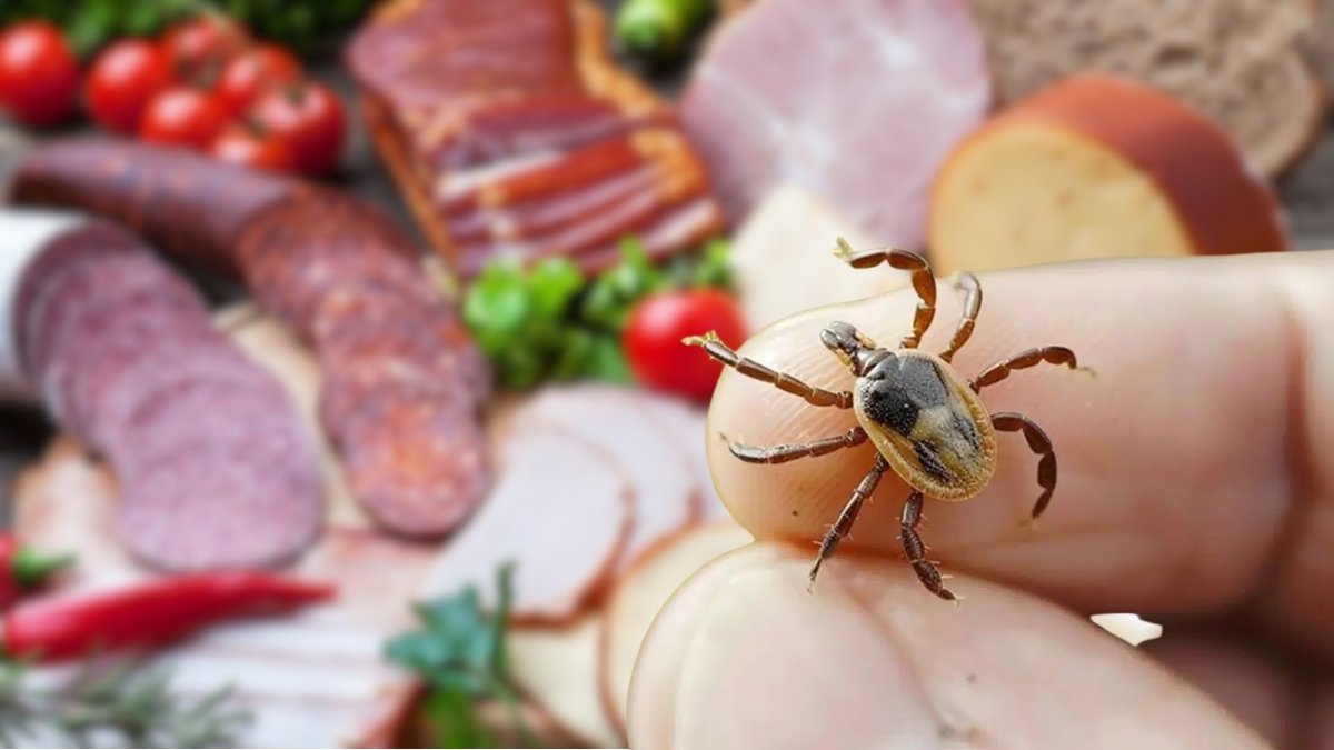 Tek bir ısırıkla tüm hayatınız değişebilir! Bir anda ömür boyu et ve süt tüketimini bırakmanız gerekebilir