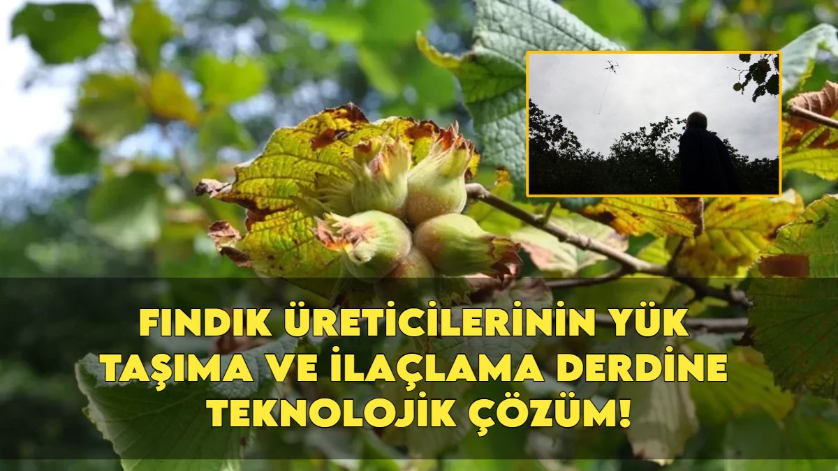 Karadeniz fındık ve çay üreticisine dronlu çözüm: Yük taşıma ve ilaçlama artık daha kolay