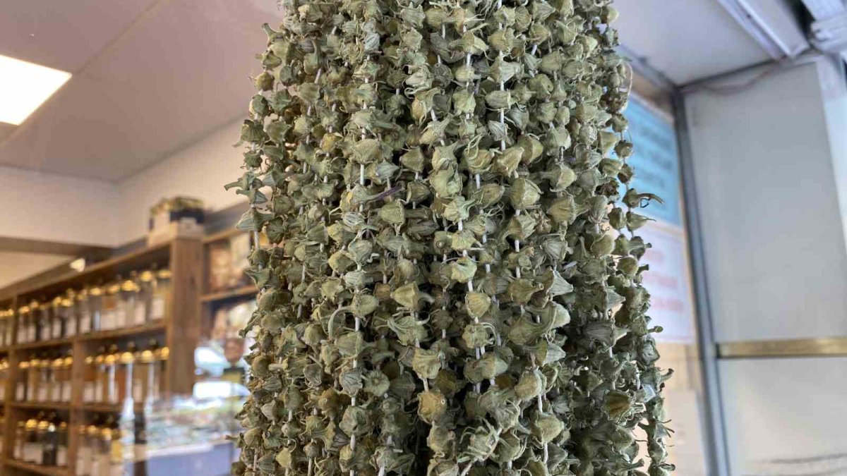 Kilosu altınla yarışıyordu, şimdi 2 Bin 900 TL’ye düştü!