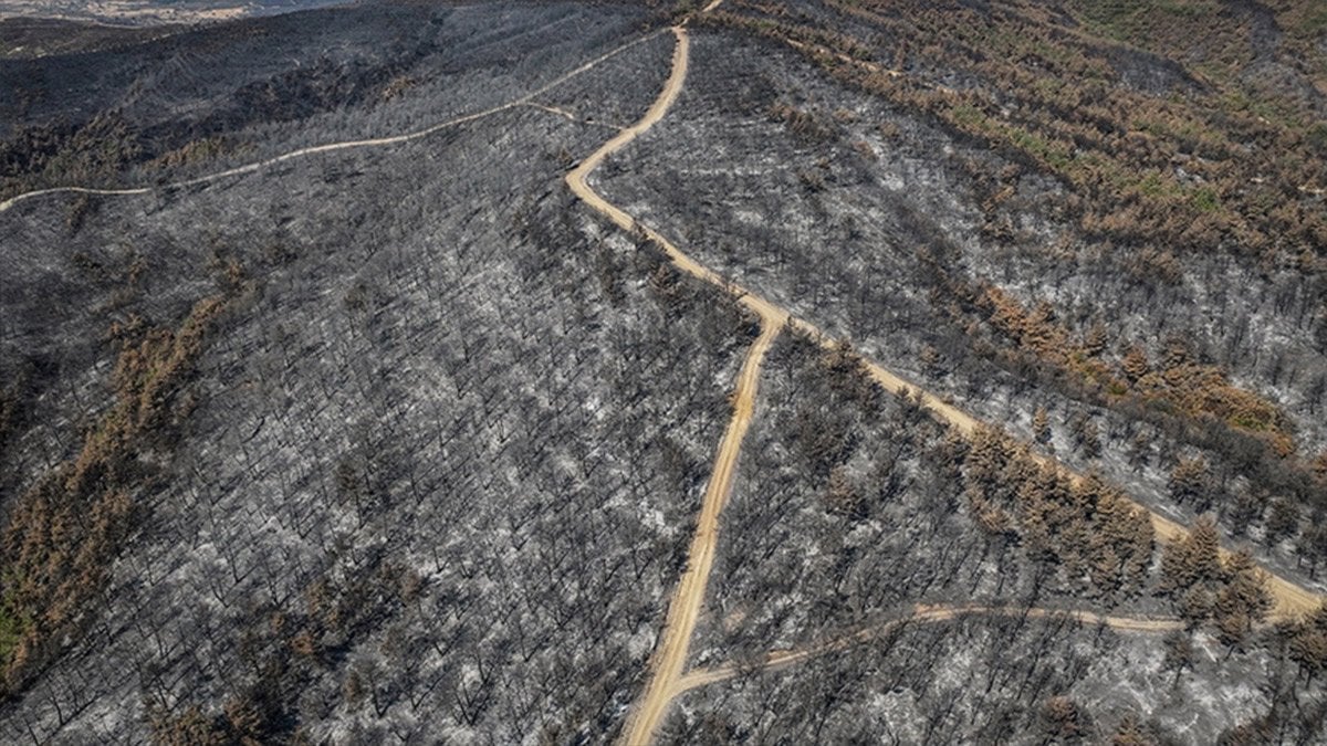 Çanakkale'de 1 yaz döneminde 118 orman yangını: 7 bin 39 hektar alan zarar gördü