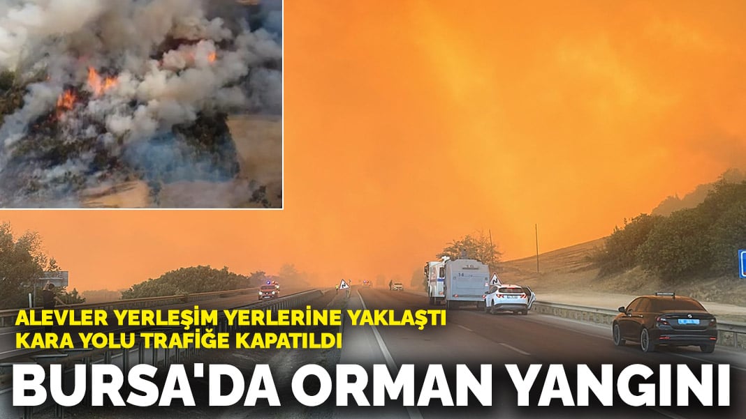Bursa'da orman yangını! Kara yolu trafiğe kapatıldı, alevler yerleşim yerlerine yaklaştı