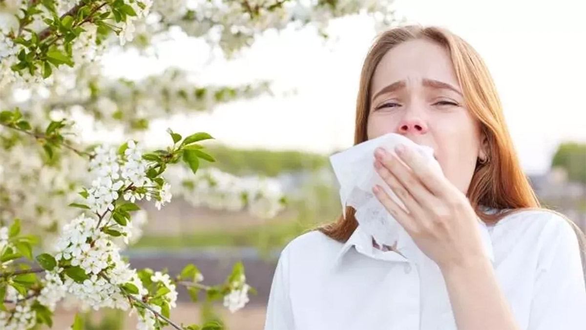 Türkiye'de polen alarmı! Normalin 250 katına çıkacak