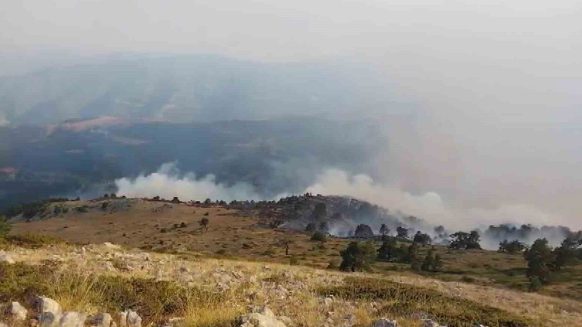 Amasya’da orman yangını: 35 hektarlık alan zarar gördü