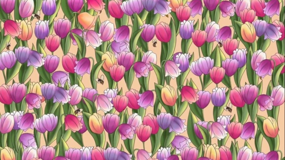 İnsanların sadece yüzde 1'i 5 saniyede bulabiliyor: Çiçeklerin arasındaki gizli çanı görebilecek misiniz?
