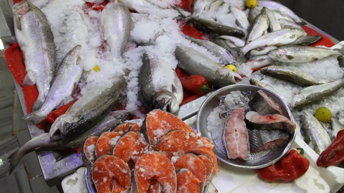 Tezgahlarda palamut az, hamsi bol olacak: Balıkçılar 'Vira Bismillah' demeye hazırlanıyor