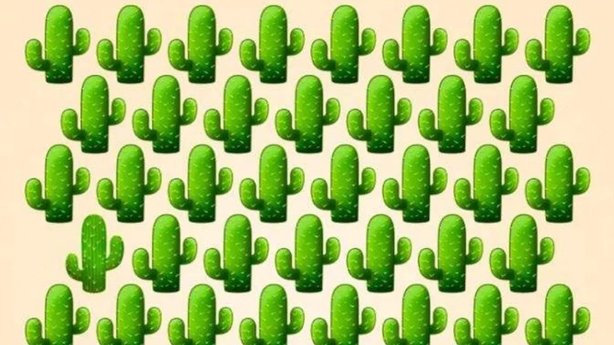 Ayrıntılar gözünüzden kaçmaz mı? İşte zihninizi test edecek kaktüs bulmacası!