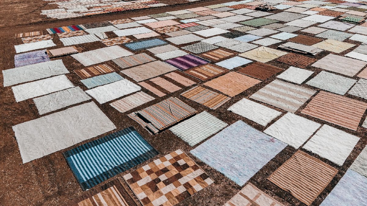 Gündüz tarlalarda kurutuyor, gece boyu nöbet tutuyorlar! Her biri servet değerinde! Ailecek tarla başında bekliyorlar