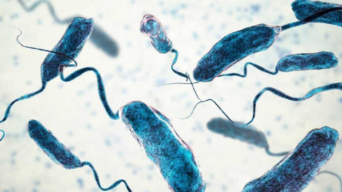 DSÖ’den kritik uyarı: Kolera vakaları ve ölümler artıyor