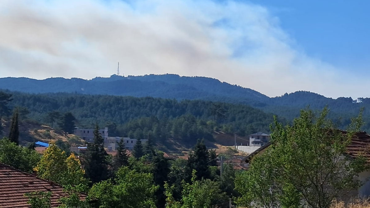 Denizli'de orman yangınına müdahale sürüyor