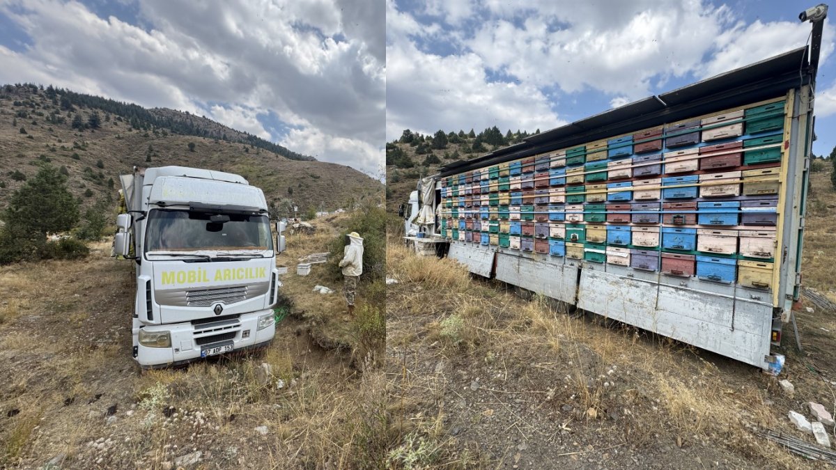 'Çiçek neredeyse biz oradayız' diyerek yola çıktı! Gezici tır İle yayla yayla dolaşıp organik bal üretiyorlar