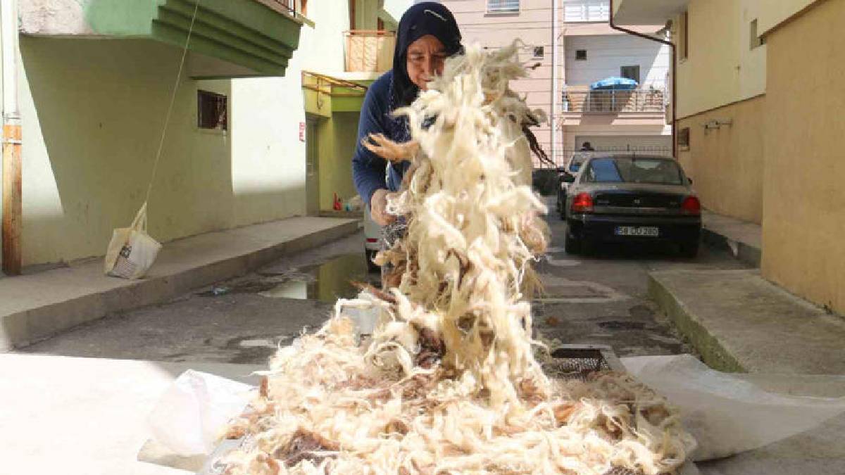 Sivas’ta babaanne yöntemi hala yaşatılıyor! Islat, kurut, divanda çırp: Makine değil el emeği!