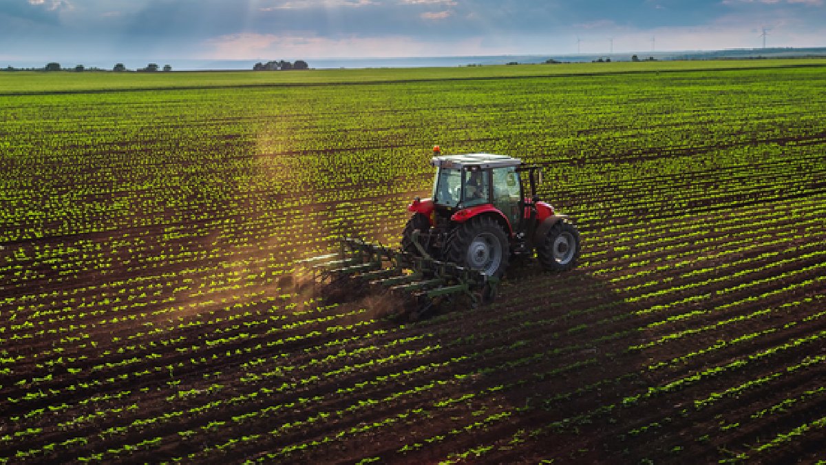 Boş kalan tarım arazileri için yeni adım: 14 bin dekar için başvurular başladı