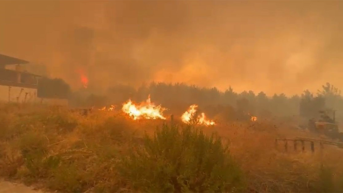 Denizli'de 5 gündür süren yangın Aydın'a sıçradı! 2 mahalle ve 1 hastane boşaltıldı