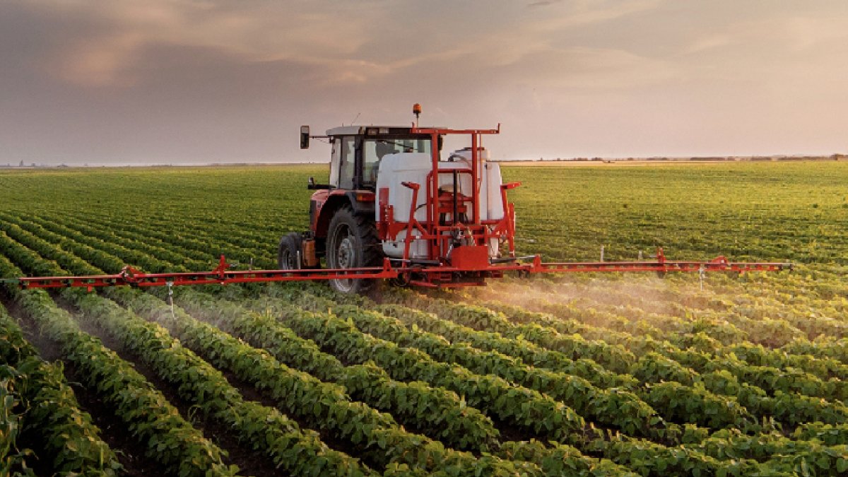 Ekilmeyen arazi düzenlemesi bugün başlıyor: Devlet 300 bin dekar tarlayı kiraya verebilir