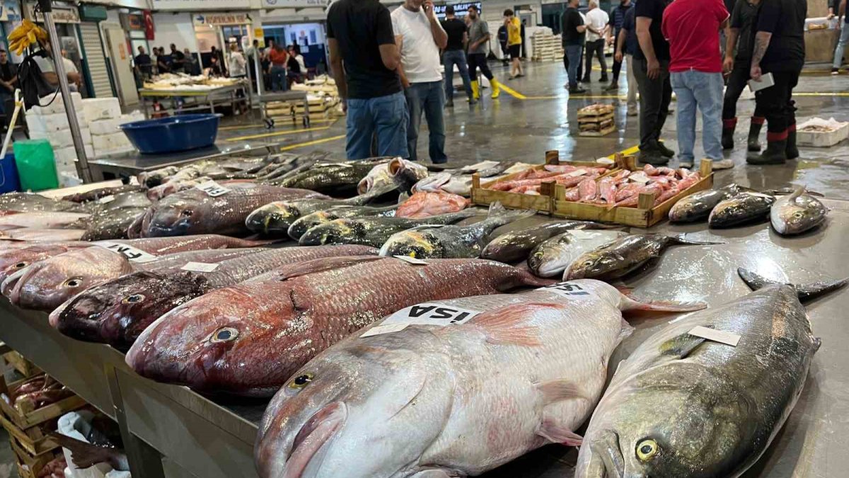 Av sezonu açıldı: Balıkçılar "Vira Bismillah" dedi