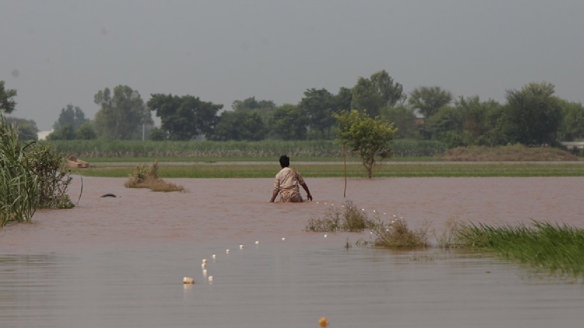 Pakistan'daki sellerde son bir haftada 33 kişi can verdi