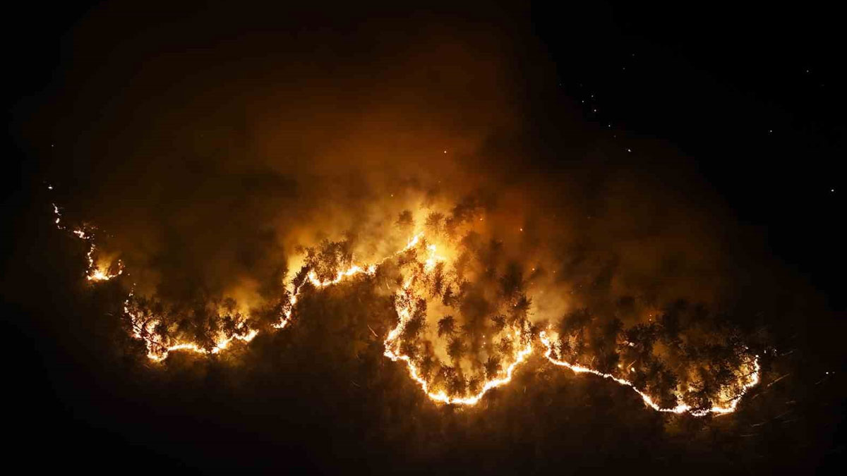 Karabük’teki orman yangını 2’nci gününde