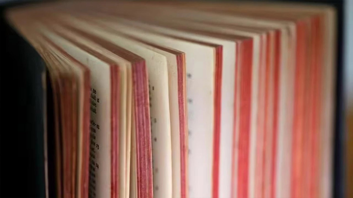 Sosyal medyada yaygınlaşan 6 bin kelime Cambridge Sözlüğü'ne eklendi