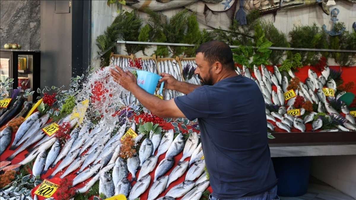 Av yasağı bitti, tezgahlar doldu taştı! Balık çeşidi de fiyat çeşidi de çok: Kilosu 300 liradan başlıyor