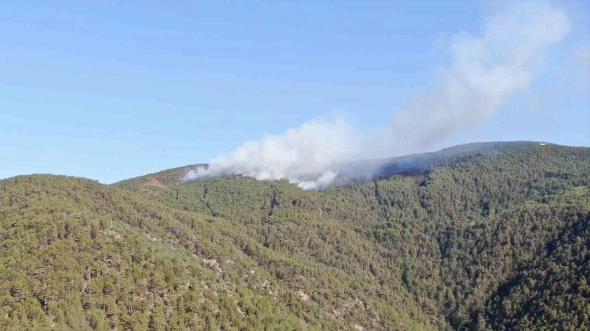 Karabük-Kastamonu sınırında ikinci orman yangını