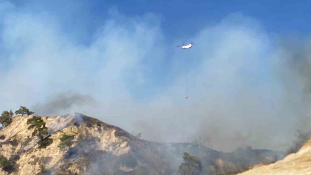 Aydın Efeler'de orman yangını