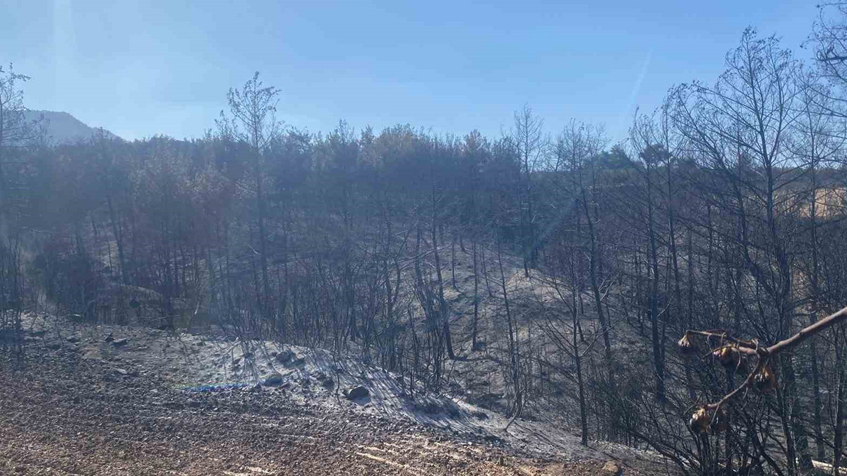 Denizli'de yangının 5. günü: Evini korumak isterken kalp krizi geçirdi