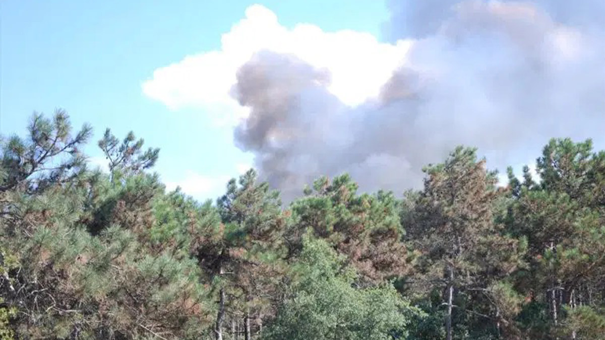 Ataşehir'de ormanlık alanda yangın