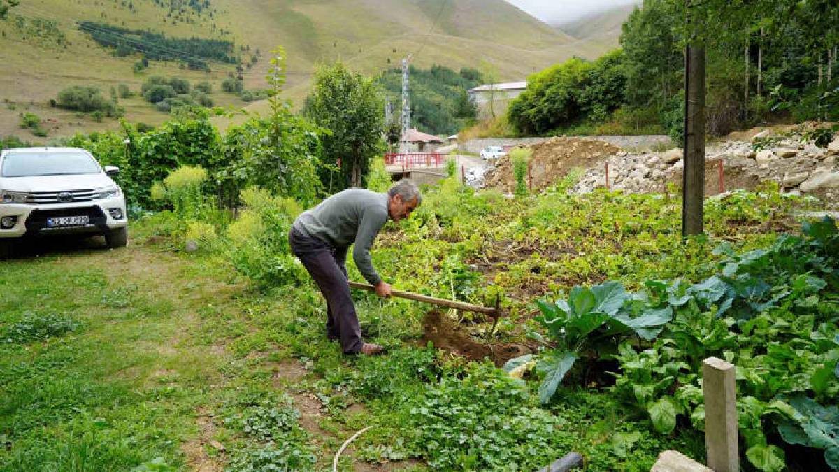 Rakımı yüksek azmi daha yüksek! Emekli imam köyünü ormana çevirdi: 50.000 ağaçla yeşil bir mucize