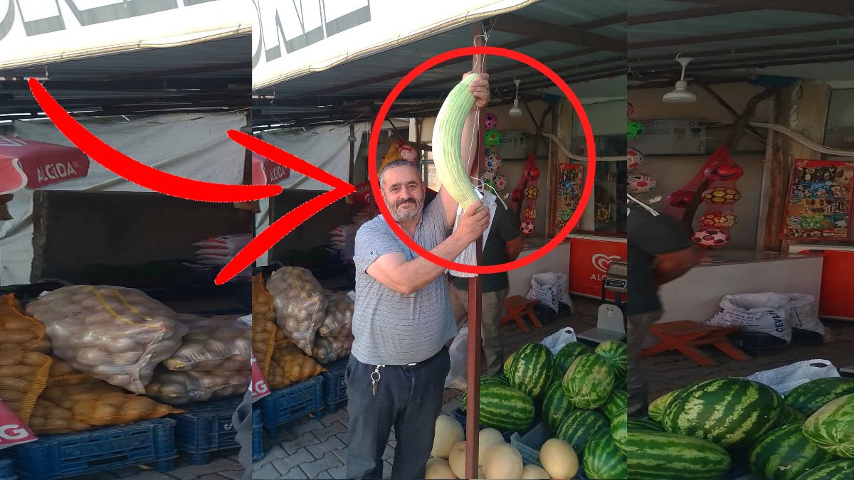 Elazığ'da tarladan rekor çıktı: 2.5 kiloluk dev acur görenleri hayrete düşürdü!