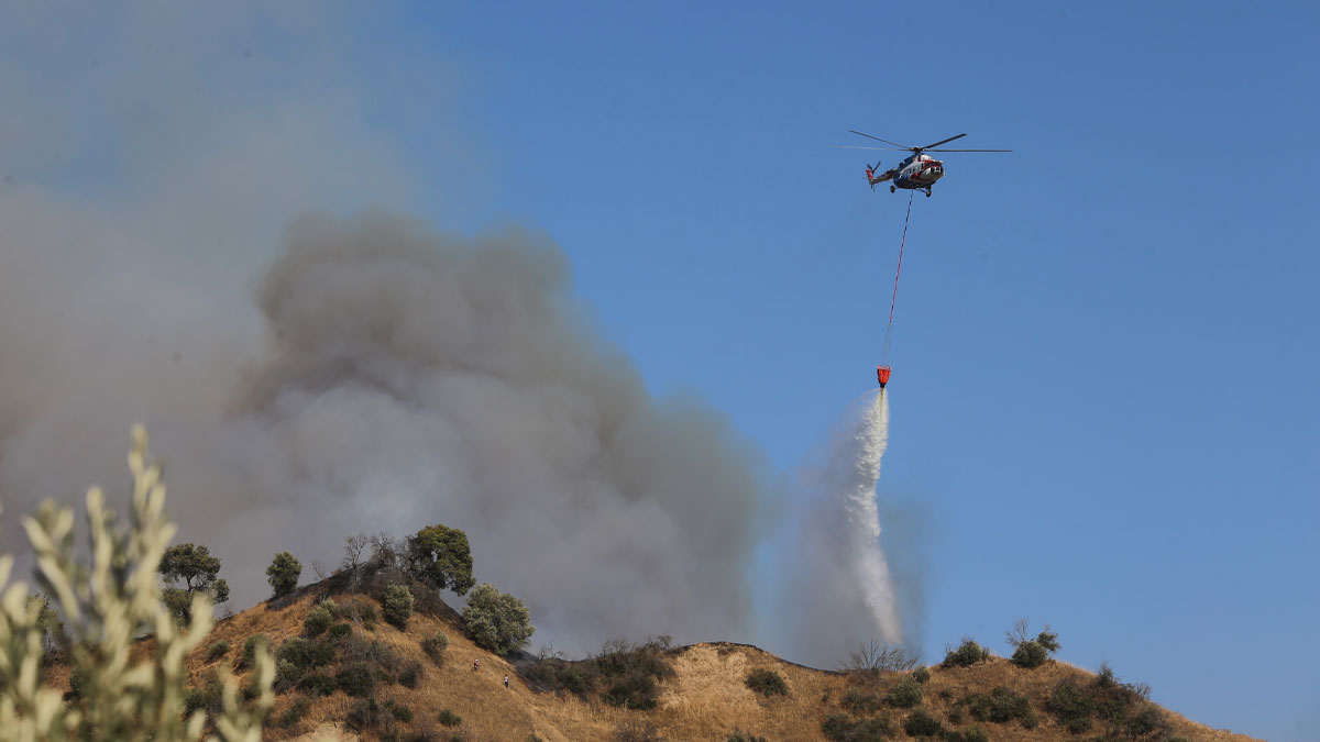 Aydın'da yangın: 2 itfaiyeci ile 1 orman işçisi yaralandı
