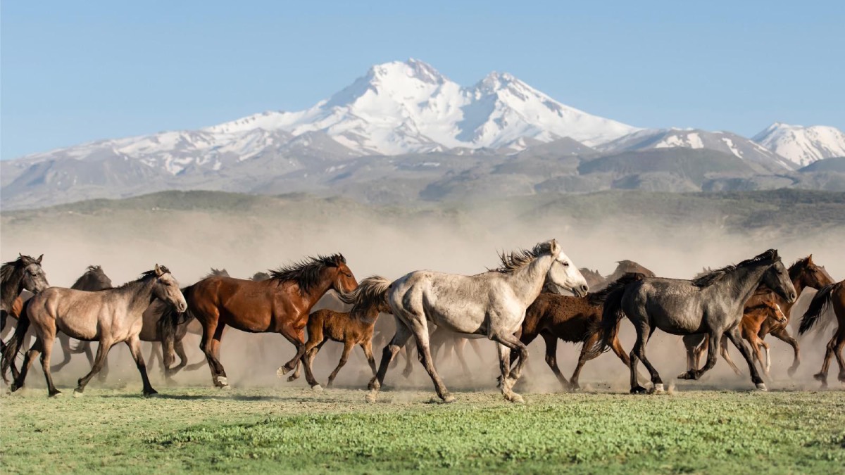 Kayseri ilk kez Türkiye Kültür Yolu Festivali’ne ev sahipliği yapıyor