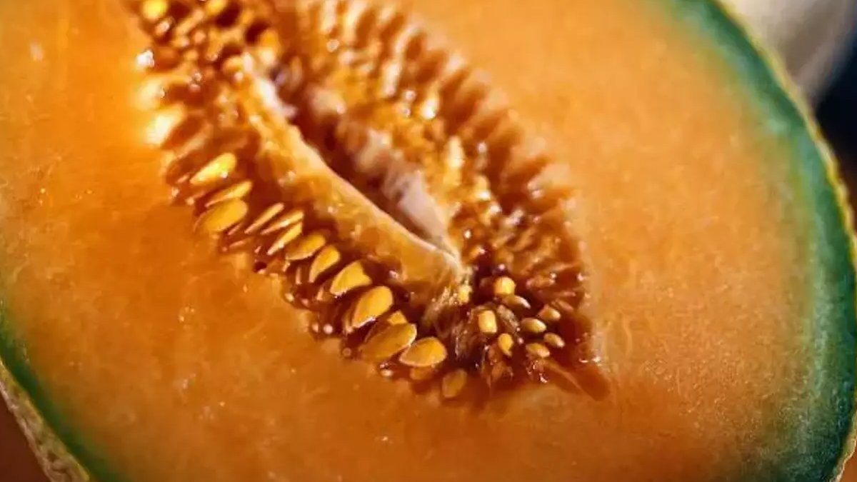 Herkes çöp diye atıyor, böyle tüketildiğini bilmiyor! Meğer süt gibi içiliyormuş