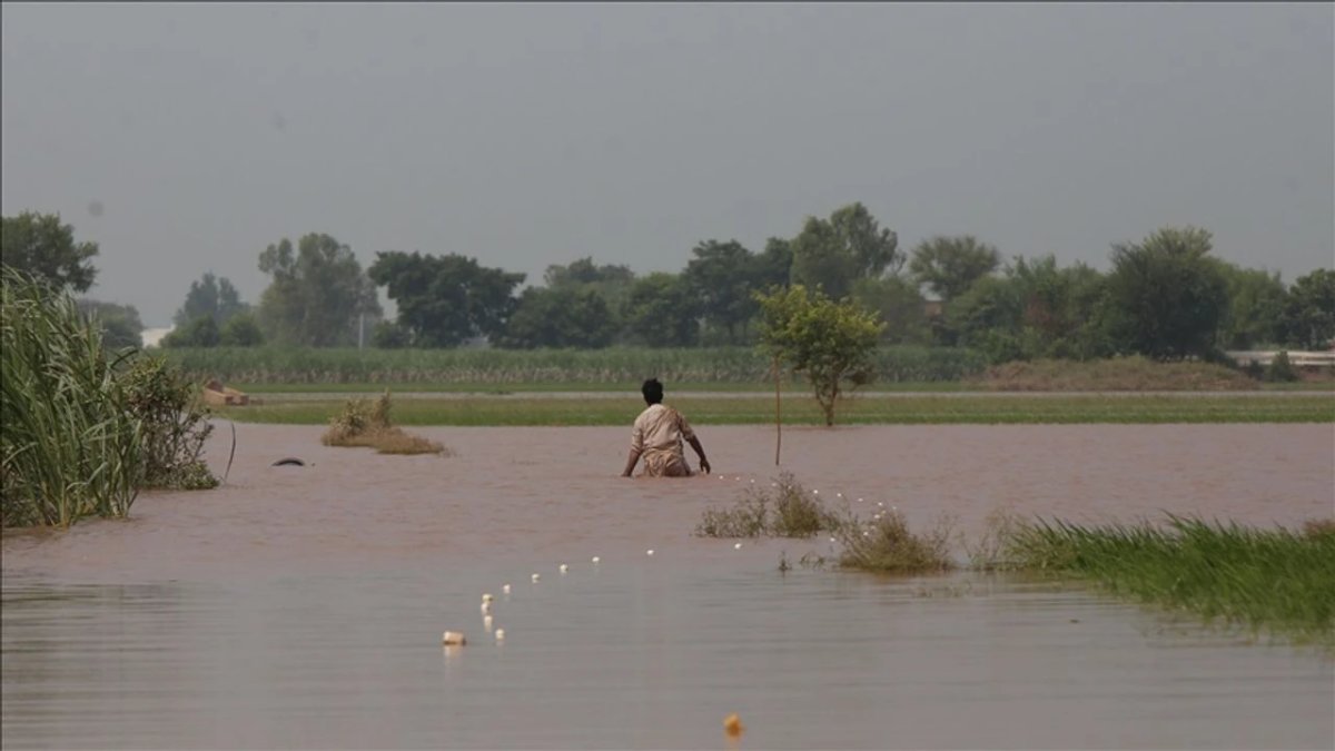 Pakistan’da muson yağışları 881 can aldı