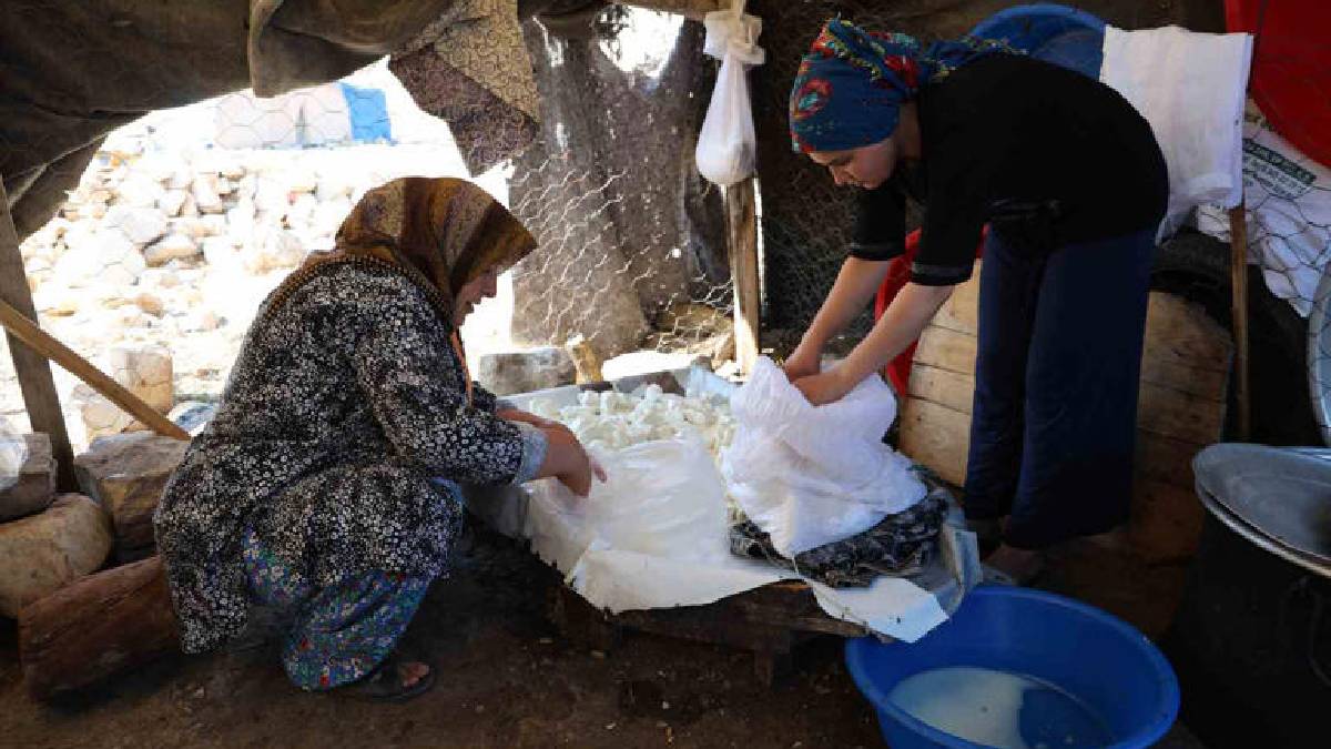 ‘Yaylacılar’ olarak biliniyor, geleneksel üretim yapıyorlar! Bu lezzeti bulmak çok zor: Hem temiz hem doğal